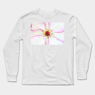 Closeup of pink flower with pink stamens Long Sleeve T-Shirt